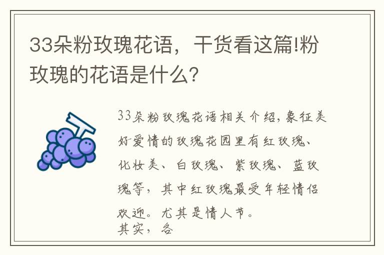 33朵粉玫瑰花语,干货看这篇!粉玫瑰的花语是什么?