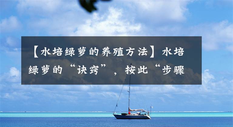 【水培绿萝的养殖方法】水培绿萝的“诀窍”，按此“步骤”做下来，7天生根长势旺