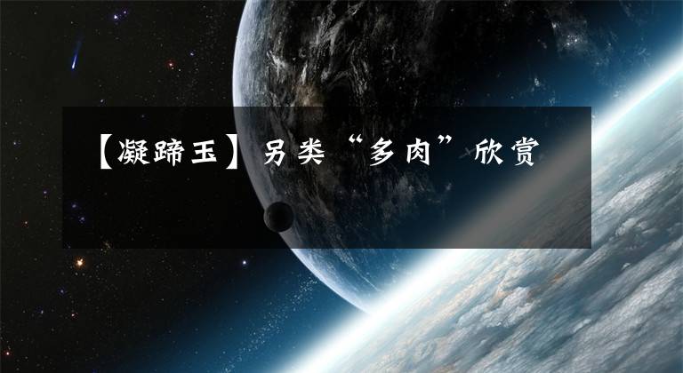 【凝蹄玉】另类“多肉”欣赏