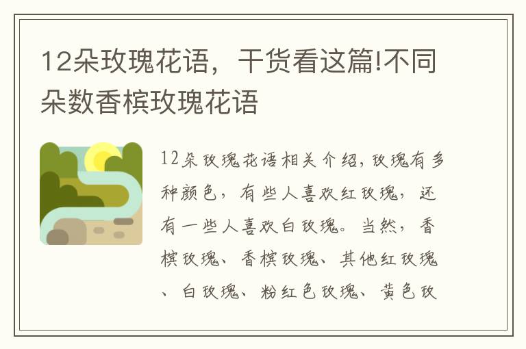 12朵玫瑰花语,干货看这篇!不同朵数香槟玫瑰花语