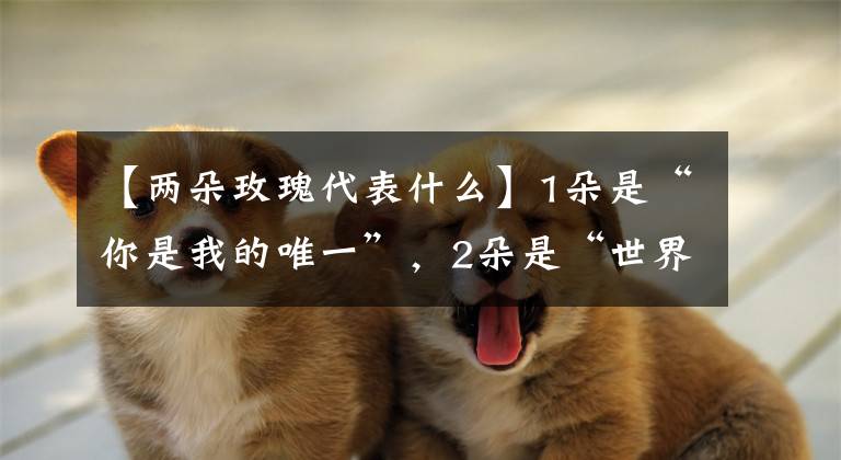 【两朵玫瑰代表什么】1朵是“你是我的唯一”,2朵是“世界上只有你和我”,3朵是“我爱你”...10000000朵就是灵桥“玫瑰之约”!