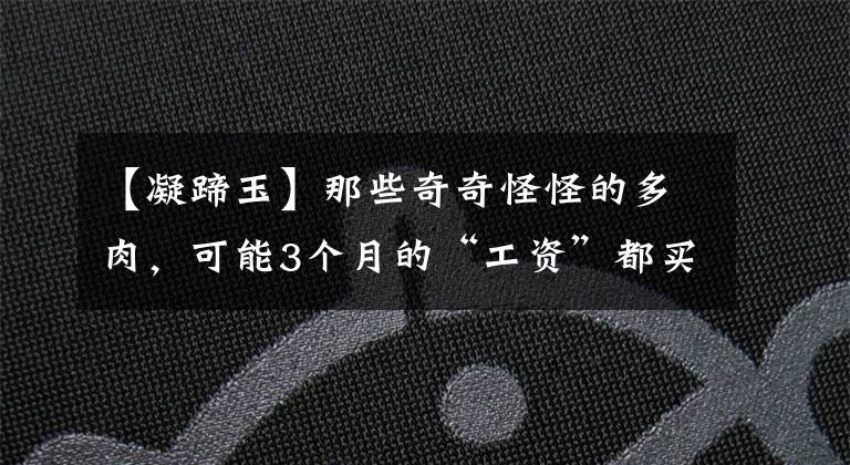 【凝蹄玉】那些奇奇怪怪的多肉，可能3个月的“工资”都买不起，你家养了吗