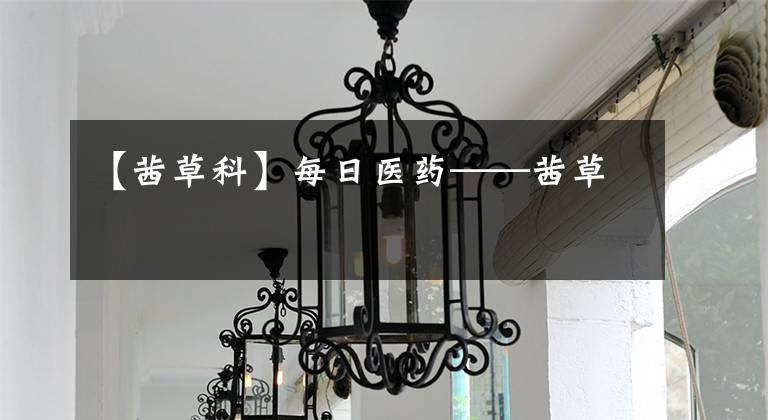 【茜草科】每日医药——茜草