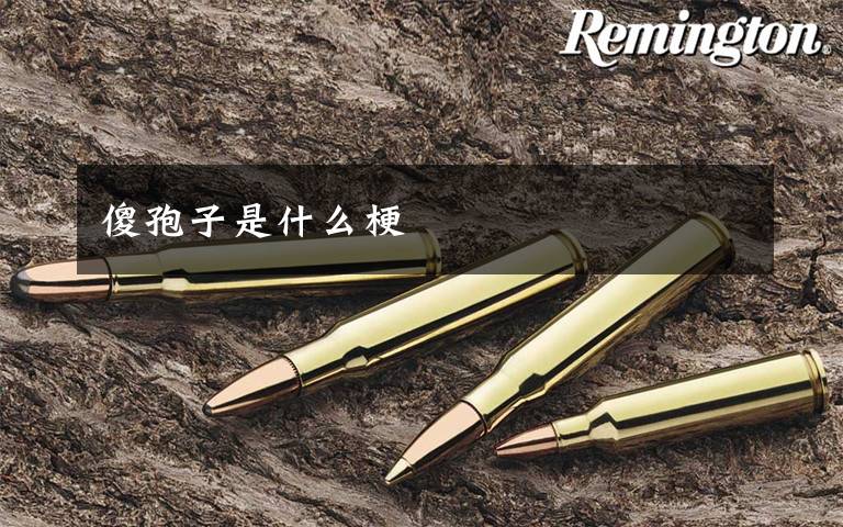 傻孢子是什么梗