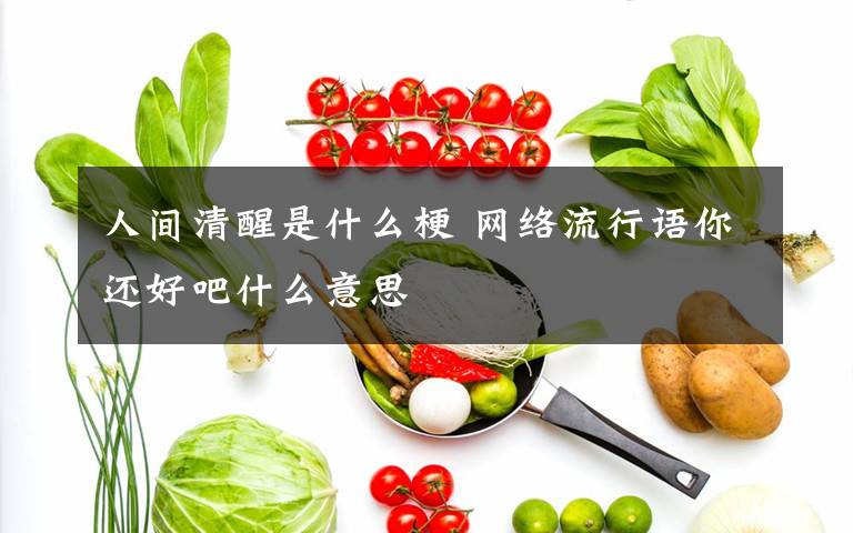 人间清醒是什么梗 网络流行语你还好吧什么意思