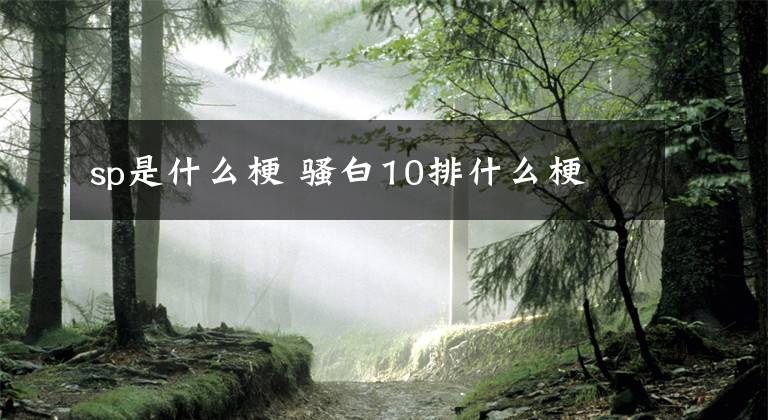 sp是什么梗 骚白10排什么梗