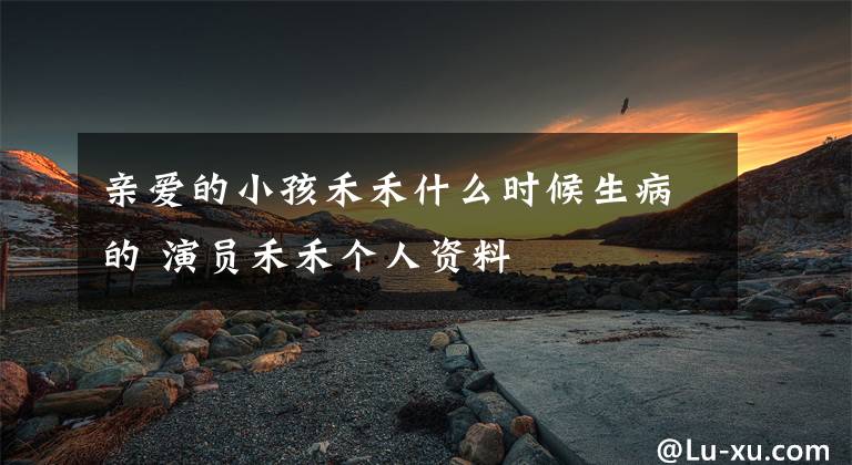 亲爱的小孩禾禾什么时候生病的 演员禾禾个人资料