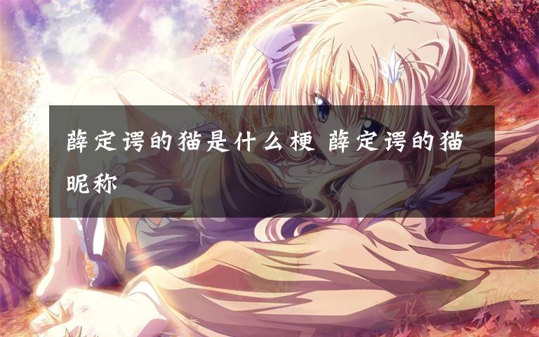 薛定谔的猫是什么梗 薛定谔的猫昵称