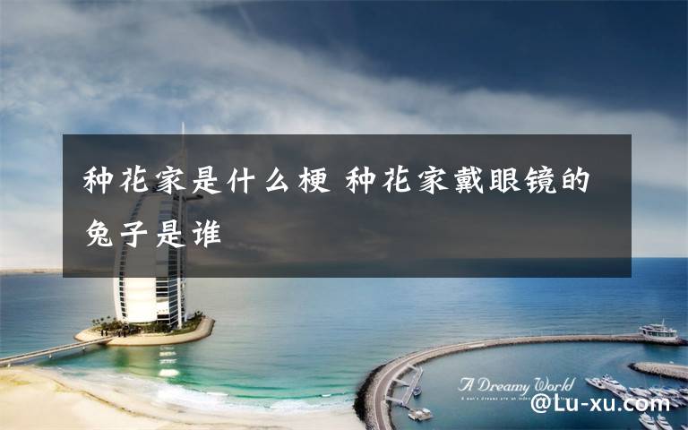 种花家是什么梗 种花家戴眼镜的兔子是谁