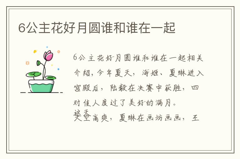 6公主花好月圆谁和谁在一起