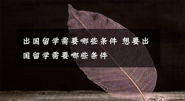 出国留学需要哪些条件 想要出国留学需要哪些条件