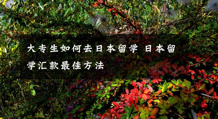 大专生如何去日本留学 日本留学汇款最佳方法