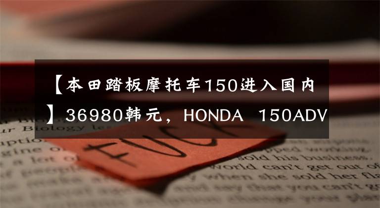 【本田踏板摩托车150进入国内】36980韩元,HONDA 150ADV国内售价公开,很符合本田的音调。