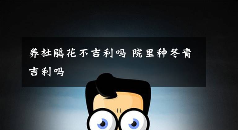 养杜鹃花不吉利吗 院里种冬青吉利吗