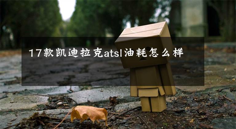 17款凯迪拉克atsl油耗怎么样