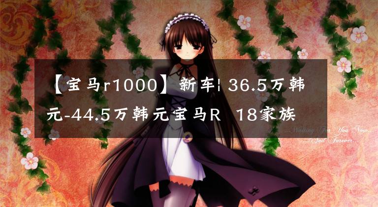 【宝马r1000】新车| 36.5万韩元-44.5万韩元宝马R 18家族新会员开始预售