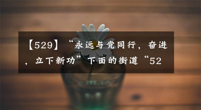 【529】“永远与党同行,奋进,立下新功”下面的街道“529”活动丰富多彩。