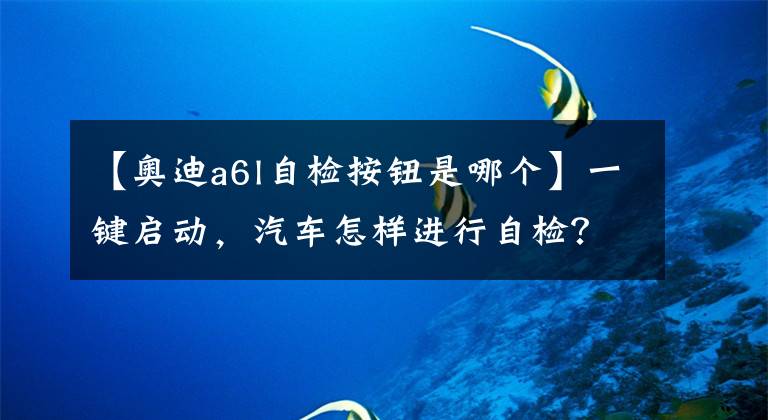 【奥迪a6l自检按钮是哪个】一键启动，汽车怎样进行自检？
