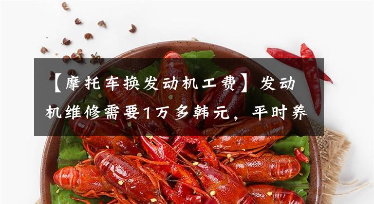 【摩托车换发动机工费】发动机维修需要1万多韩元,平时养成正确的习惯很重要