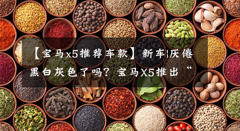 【宝马x5推荐车款】新车|厌倦黑白灰色了吗?宝马X5推出“英国赛车绿色”,回归率再次上升