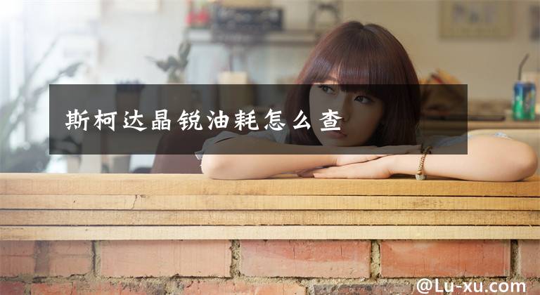 斯柯达晶锐油耗怎么查