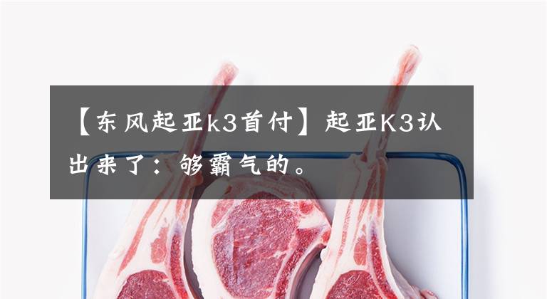 【东风起亚k3首付】起亚K3认出来了:够霸气的。