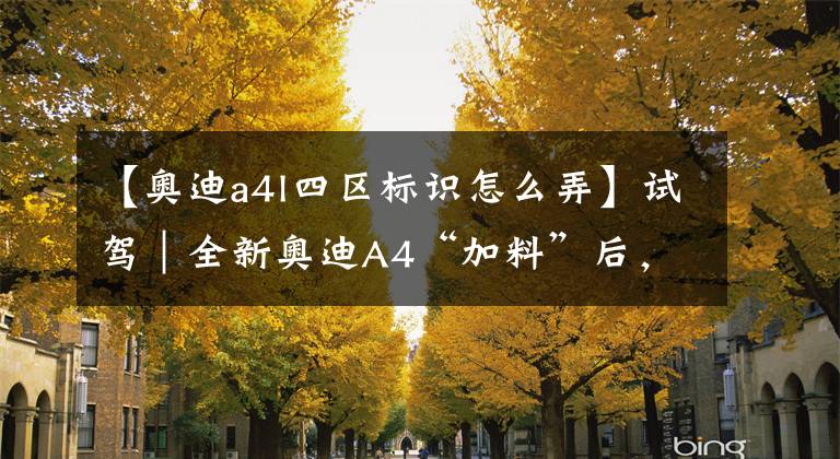 【奥迪a4l四区标识怎么弄】试驾|全新奥迪A4“加料”后,“眼馋”四驱高配?
