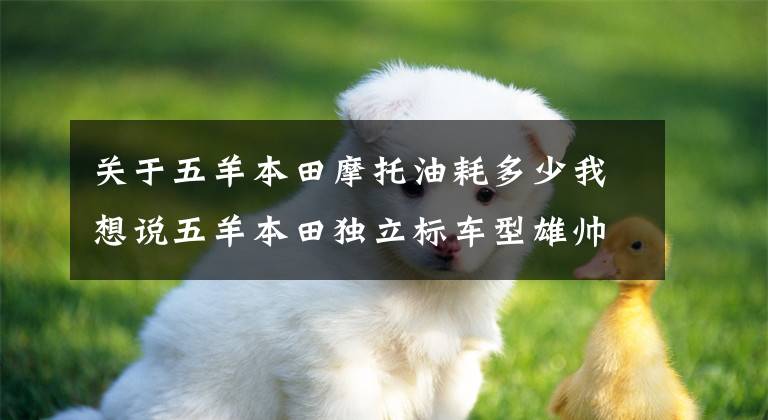 关于五羊本田摩托油耗多少我想说五羊本田独立标车型雄帅150,换装上市,售价不变