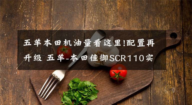 五羊本田机油量看这里!配置再升级 五羊-本田佳御SCR110实拍