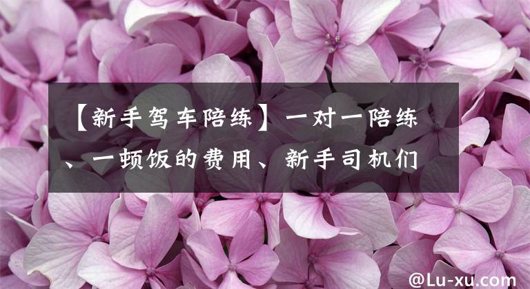 【新手驾车陪练】一对一陪练、一顿饭的费用、新手司机们解读路上的很多“疑难杂症”