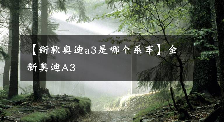 【新款奥迪a3是哪个系车】全新奥迪A3