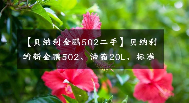 【贝纳利金鹏502二手】贝纳利的新金鹏502、油箱20L、标准3箱、功率35千瓦，尽情享受莫罗的乐趣