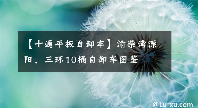 【十通平板自卸车】渝柴湾溧阳，三环10桶自卸车图鉴