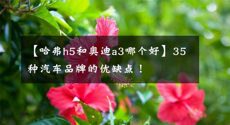 【哈弗h5和奥迪a3哪个好】35种汽车品牌的优缺点!