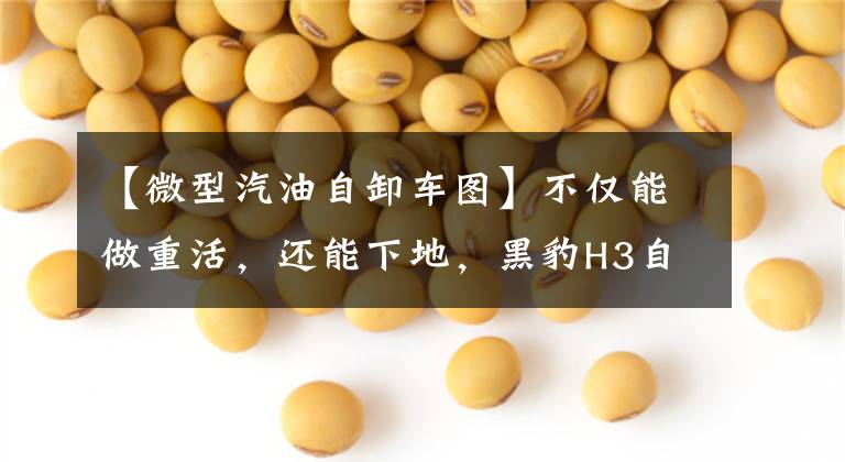 【微型汽油自卸车图】不仅能做重活，还能下地，黑豹H3自卸车帮助城乡建设