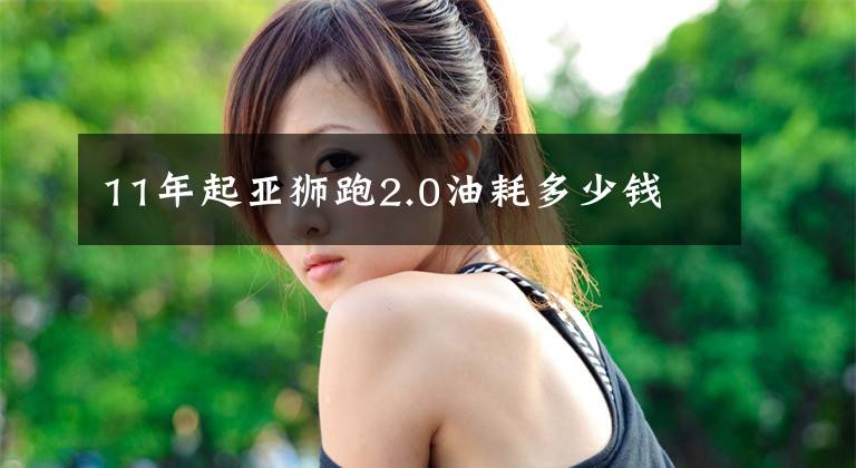 11年起亚狮跑2.0油耗多少钱