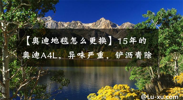 【奥迪地毯怎么更换】15年的奥迪A4L,异味严重,铲沥青除异味