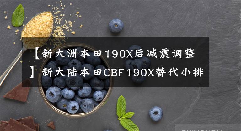 【新大洲本田190X后减震调整】新大陆本田CBF190X替代小排量ADV 1.5万韩元