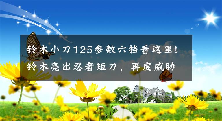 铃木小刀125参数六挡看这里!铃木亮出忍者短刀,再度威胁欧洲车厂