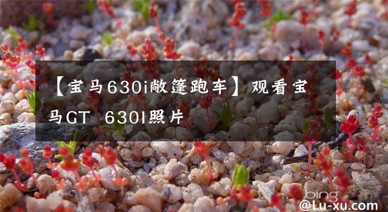 【宝马630i敞篷跑车】观看宝马GT  630I照片