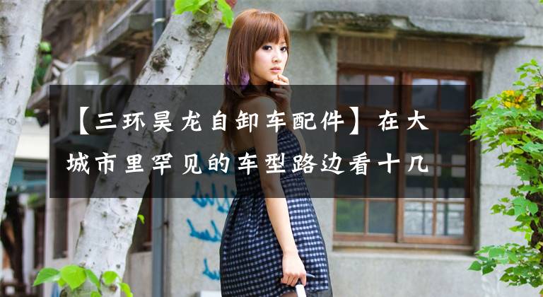 【三环昊龙自卸车配件】在大城市里罕见的车型路边看十几万韩元的三环重车。