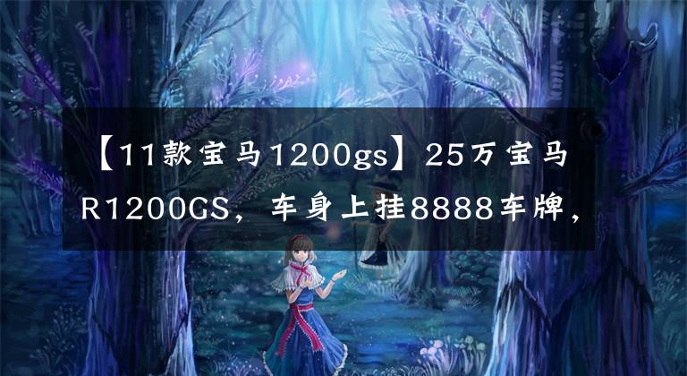 【11款宝马1200gs】25万宝马R1200GS,车身上挂8888车牌,卡是5位数的值