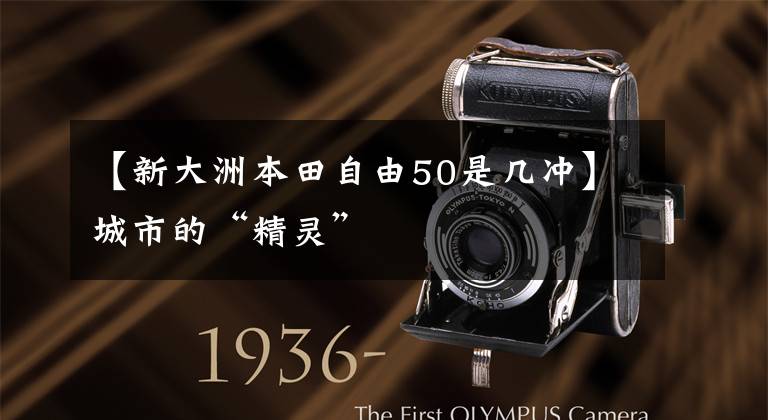 【新大洲本田自由50是几冲】城市的“精灵”