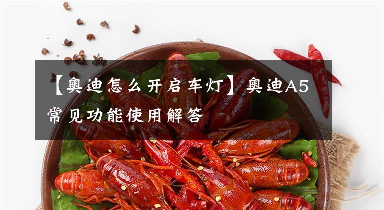 【奥迪怎么开启车灯】奥迪A5常见功能使用解答