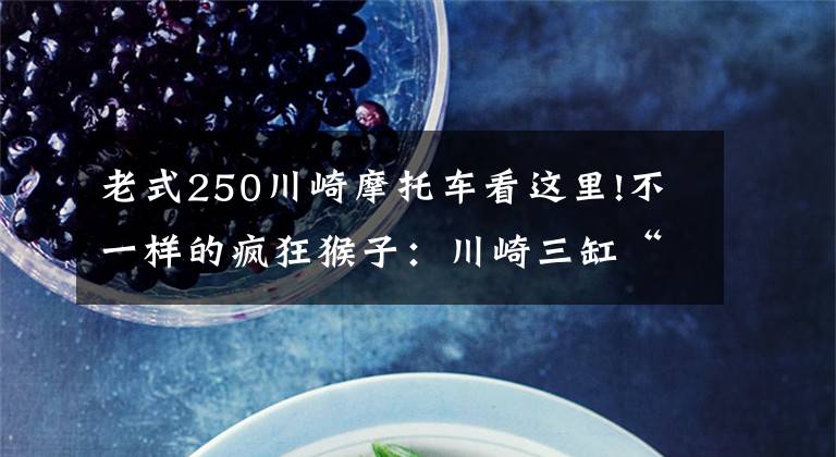 老式250川崎摩托车看这里!不一样的疯狂猴子:川崎三缸“KV250”