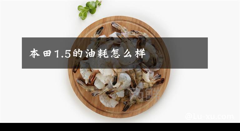 本田1.5的油耗怎么样