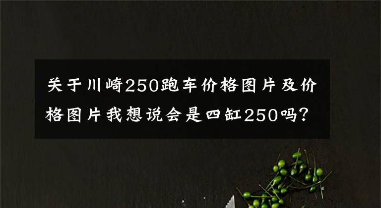 关于川崎250跑车价格图片及价格图片我想说会是四缸250吗?川崎250cc新车将于10号发布