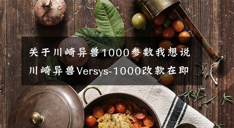 关于川崎异兽1000参数我想说川崎异兽Versys-1000改款在即,造型更犀利?