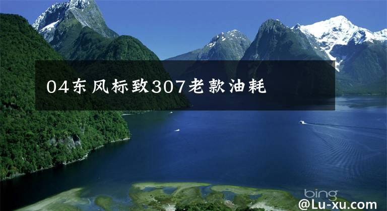 04东风标致307老款油耗