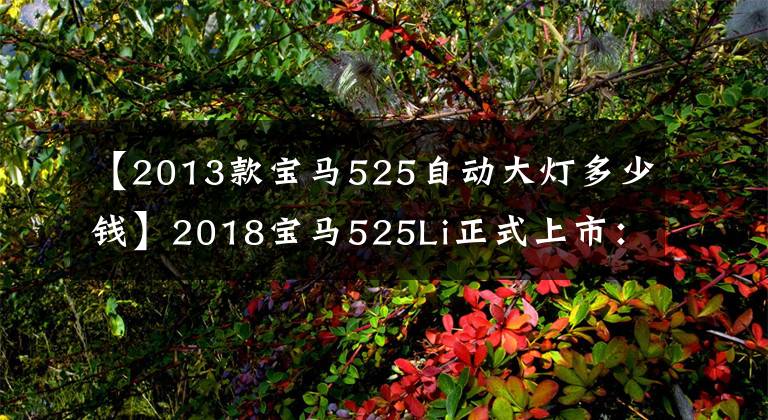 【2013款宝马525自动大灯多少钱】2018宝马525Li正式上市:两款销售43.99万